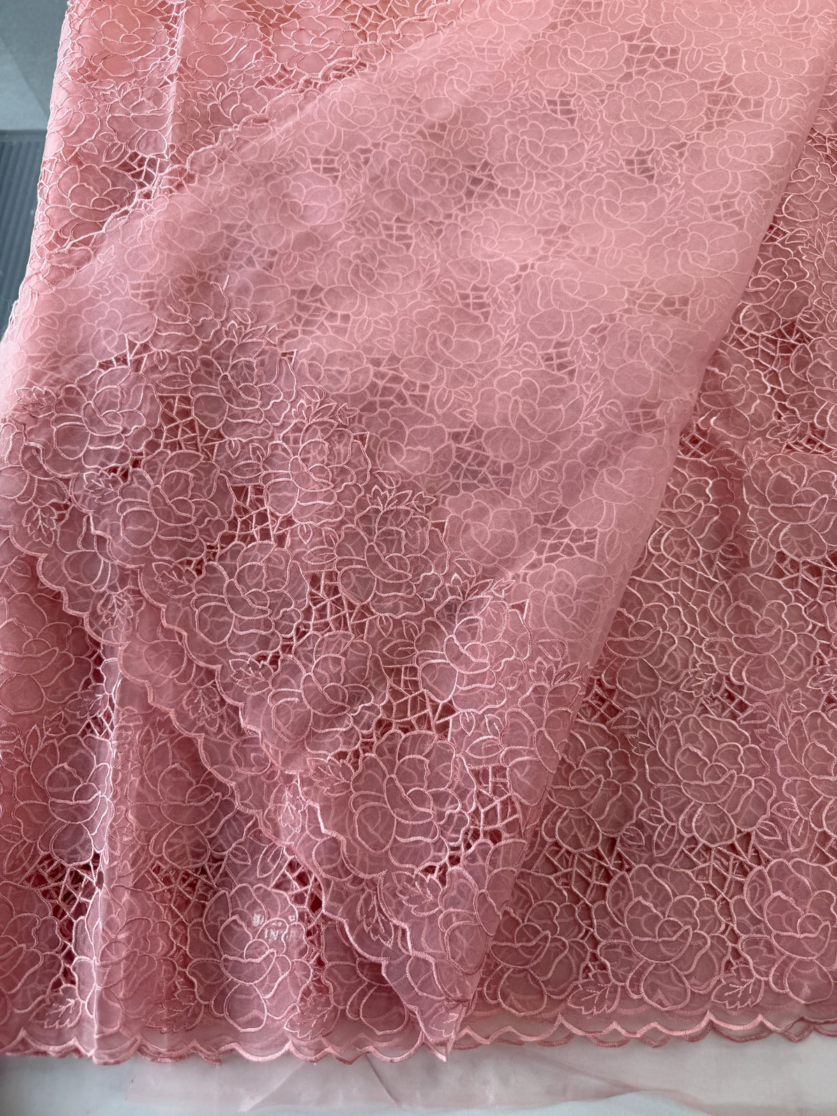 Soft Organza Saree/ AM103