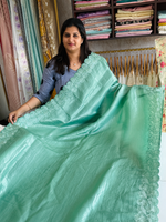 Crushed Organza Saree/ BP118