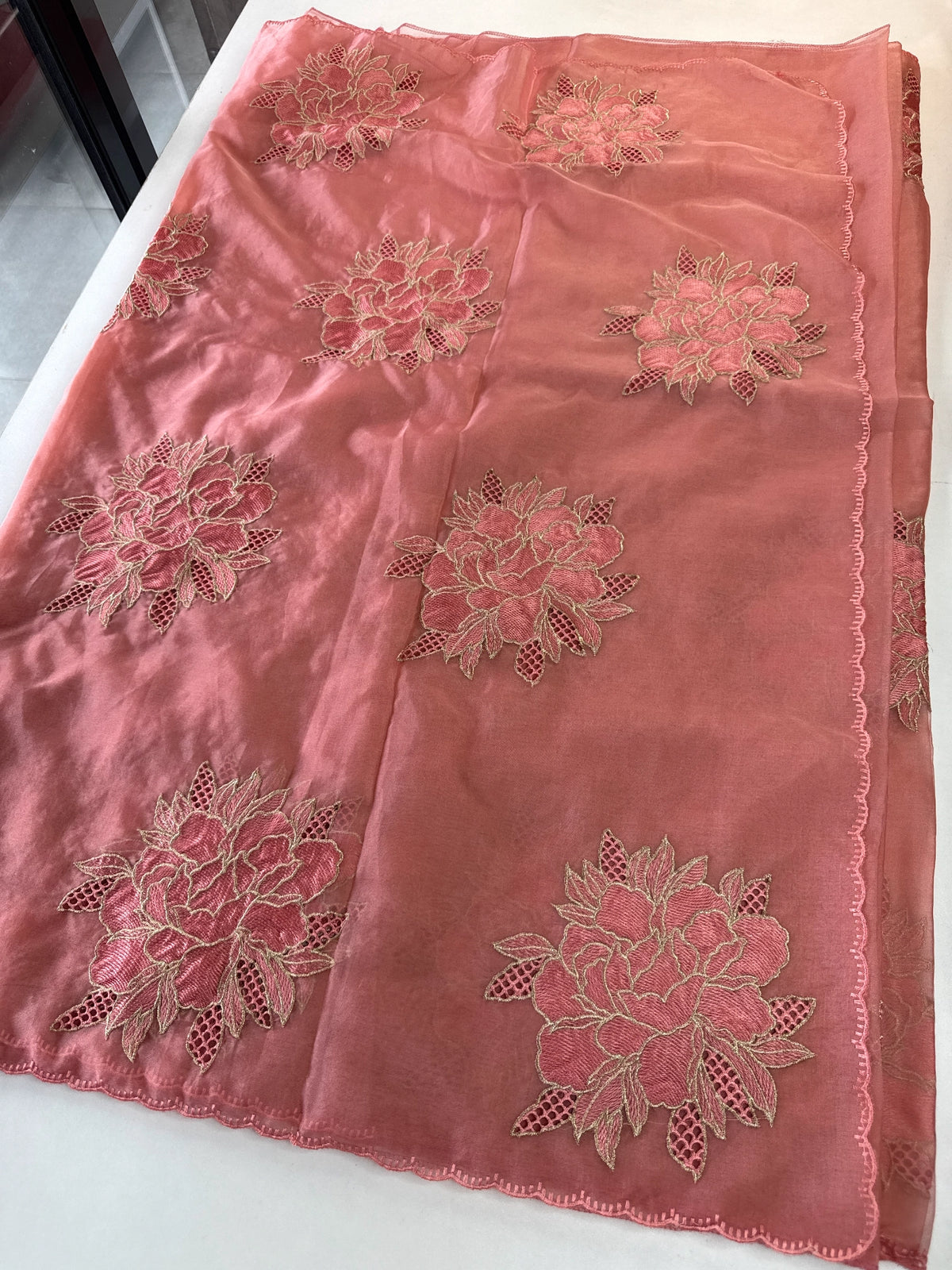 Soft organza saree/ CW766