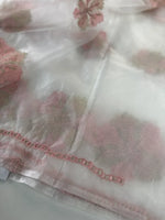 Soft organza saree/ CW865