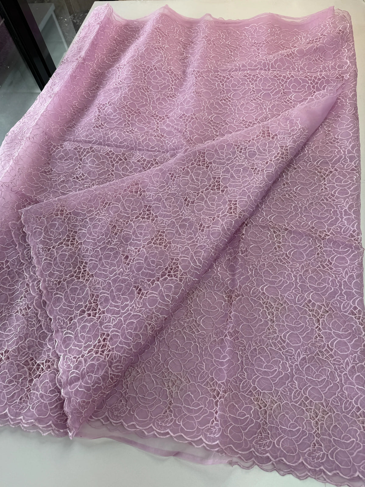 Soft Organza Saree/ AM103