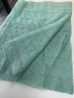 Soft Organza Saree/ AM103