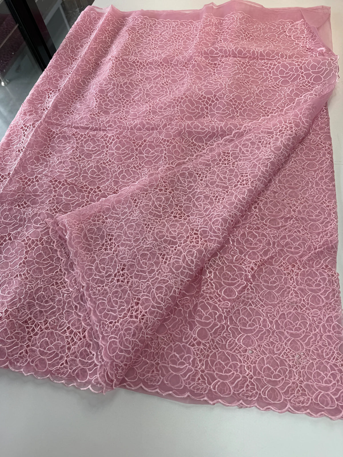 Soft Organza Saree/ AM103