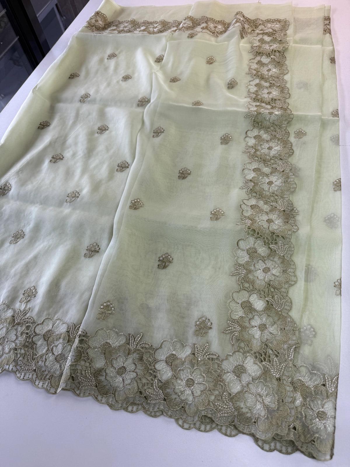 Organza Saree/ 6296