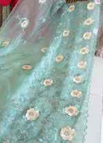 Soft Korean organza /CW463( pre booking)