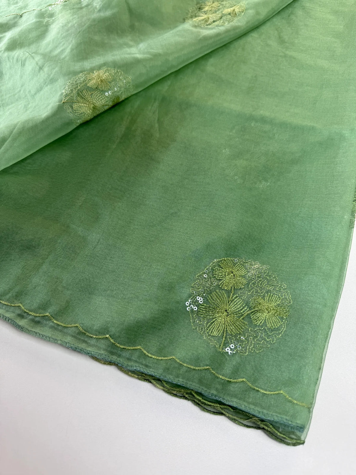 Soft organza saree/ CW038