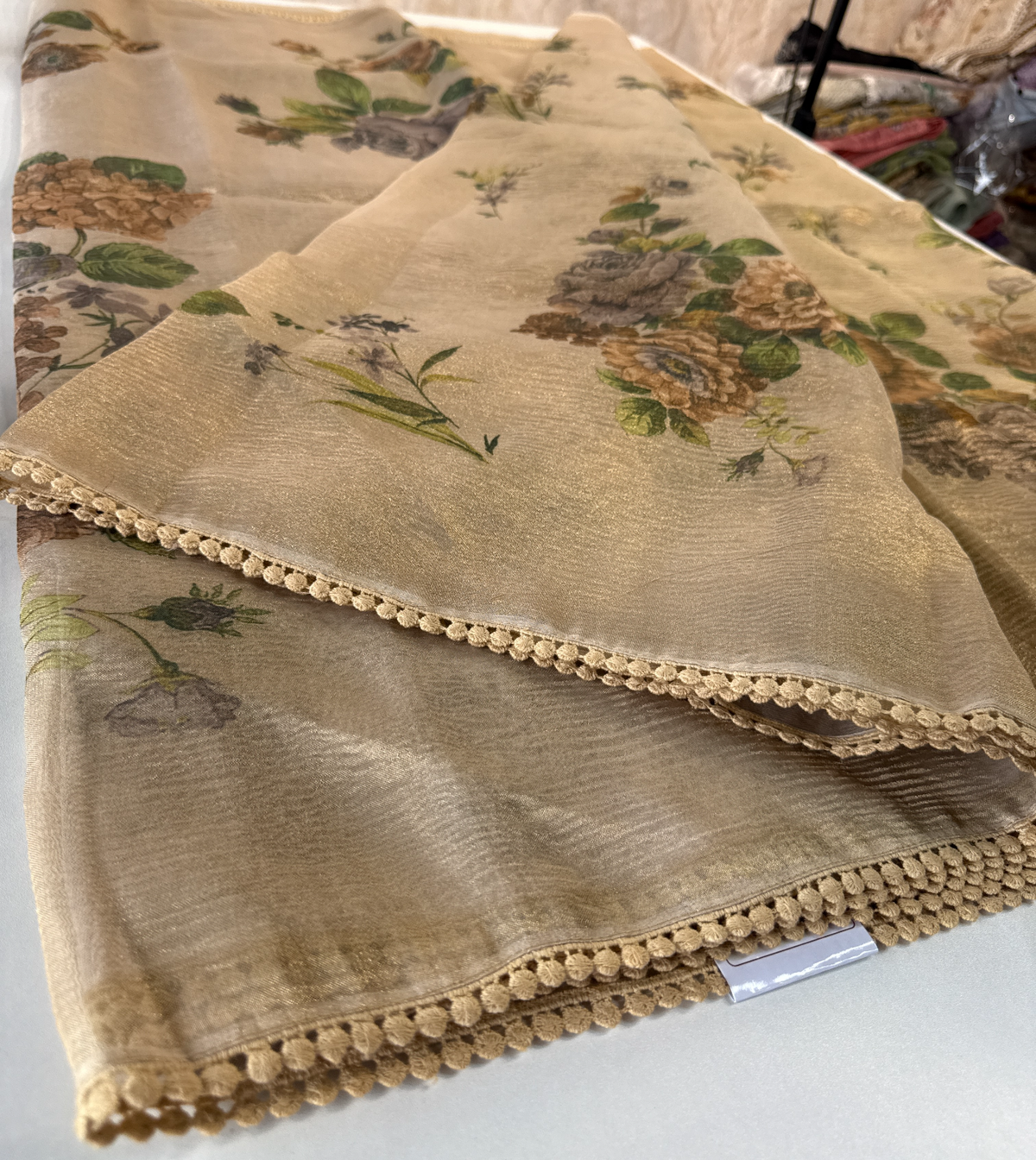 Tissue saree / BE01