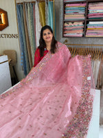 Glass organza saree/ 67HL