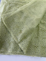 Soft Organza Saree/ AM103
