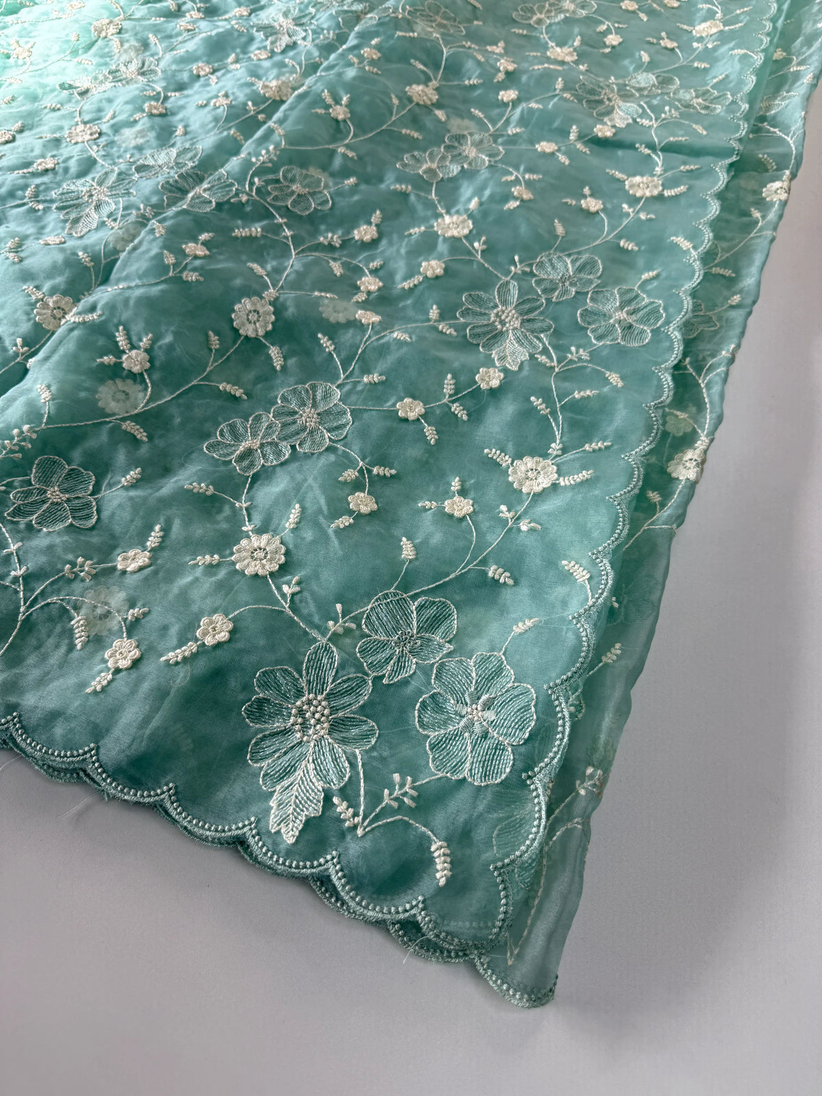 Soft Organza Saree/ CW779