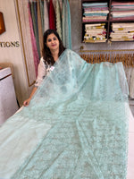 Soft Organza Saree/ AM103