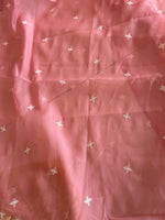 Viscous organza saree/ BL137