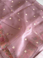 Glass Organza Saree/ 522A