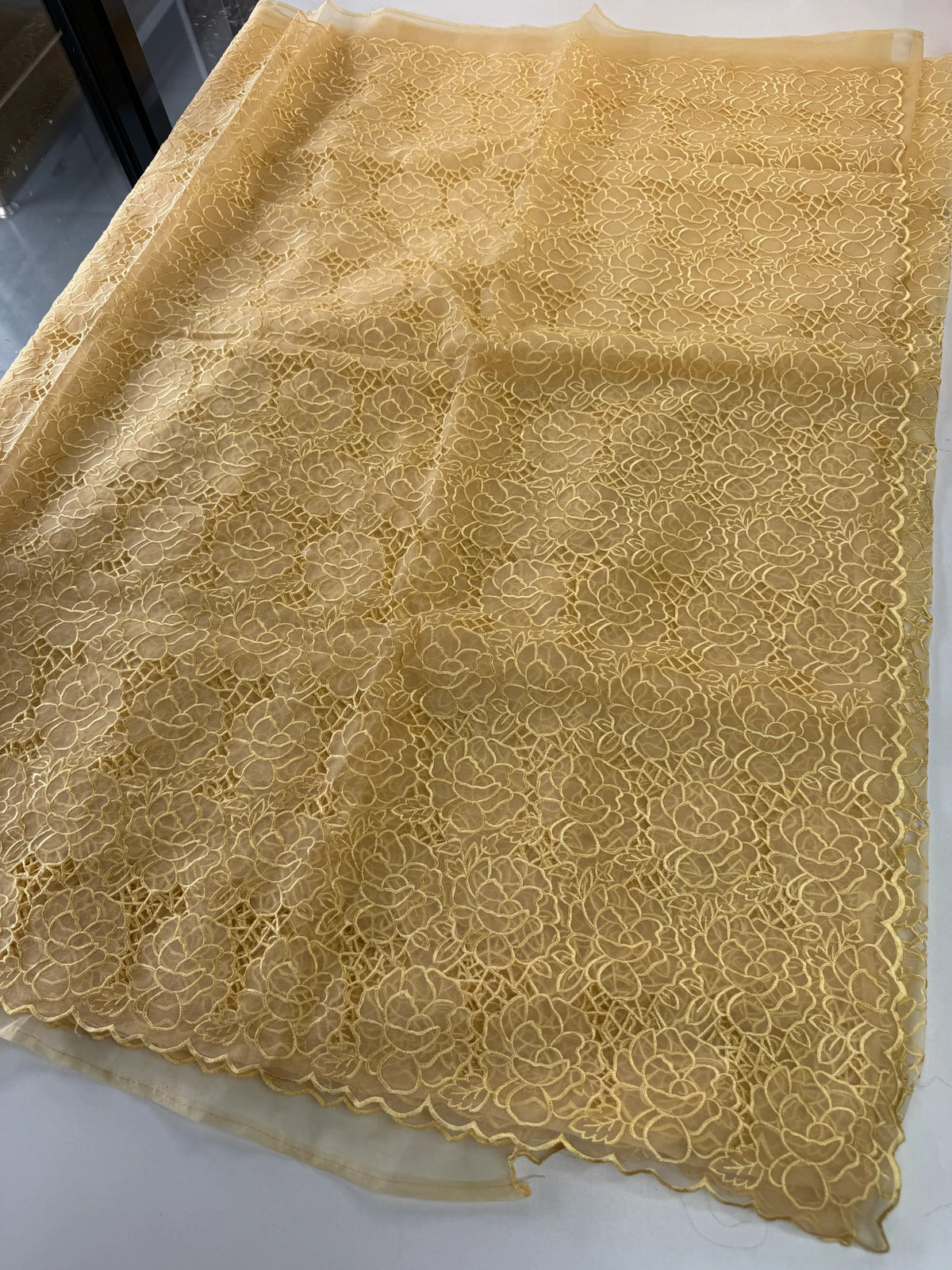 Soft Organza Saree/ AM103