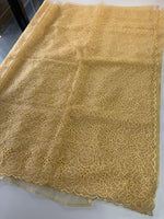 Soft Organza Saree/ AM103