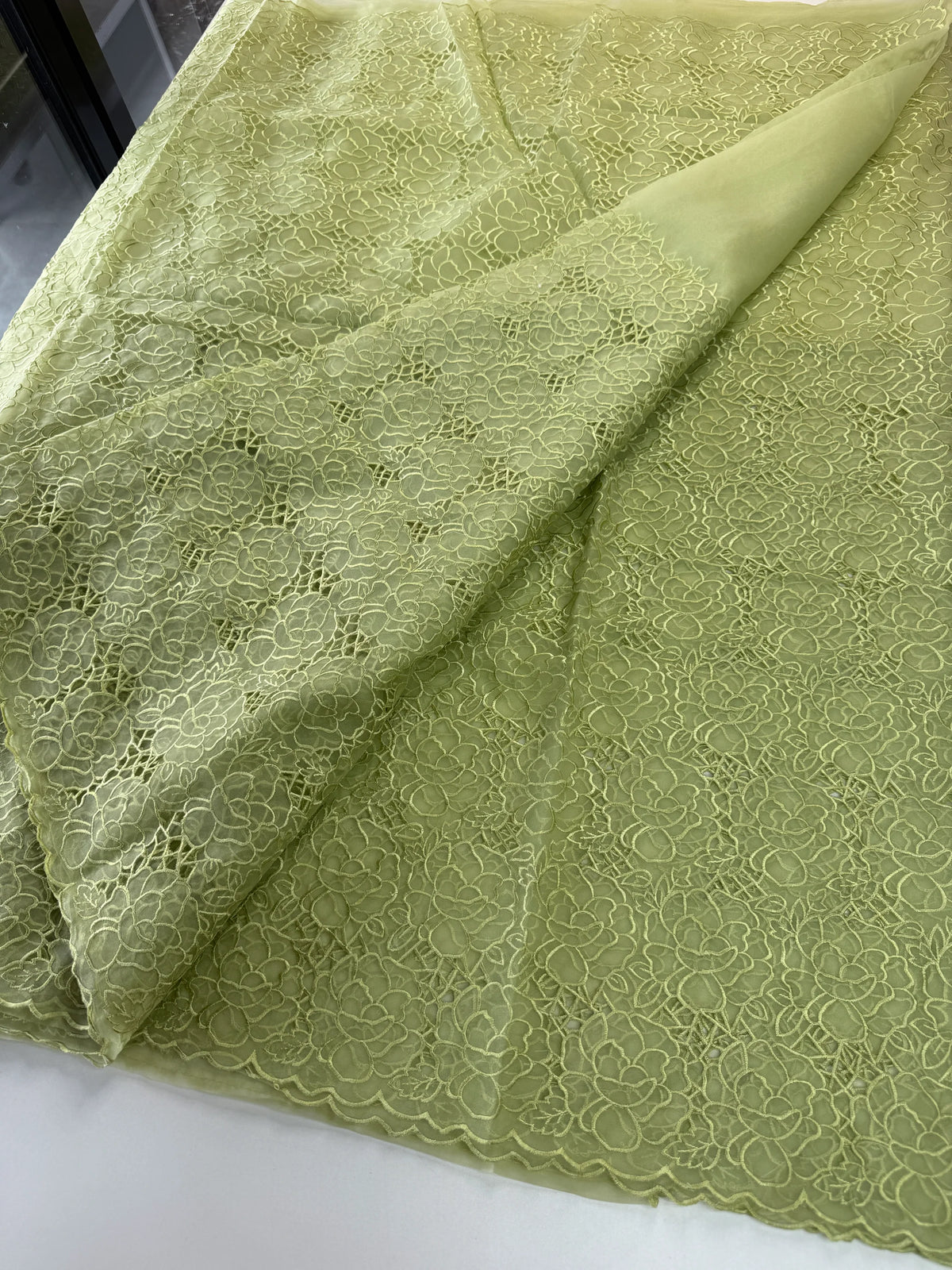 Soft Organza Saree/ AM103