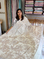 Organza saree/ 845S