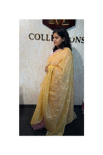 Blended Organza saree / WS94