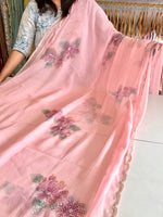 Chiffon saree/ HW409