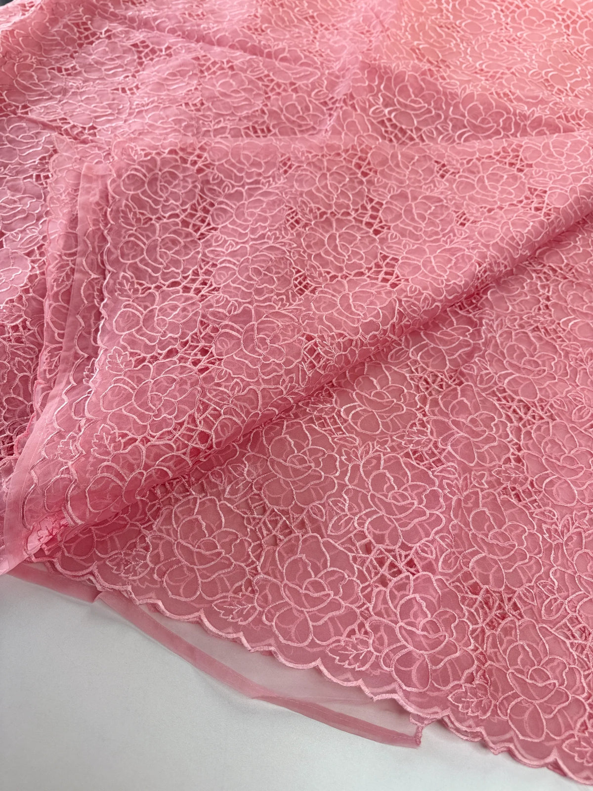 Soft Organza Saree/ AM103