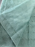 Soft Organza Saree/ AM103