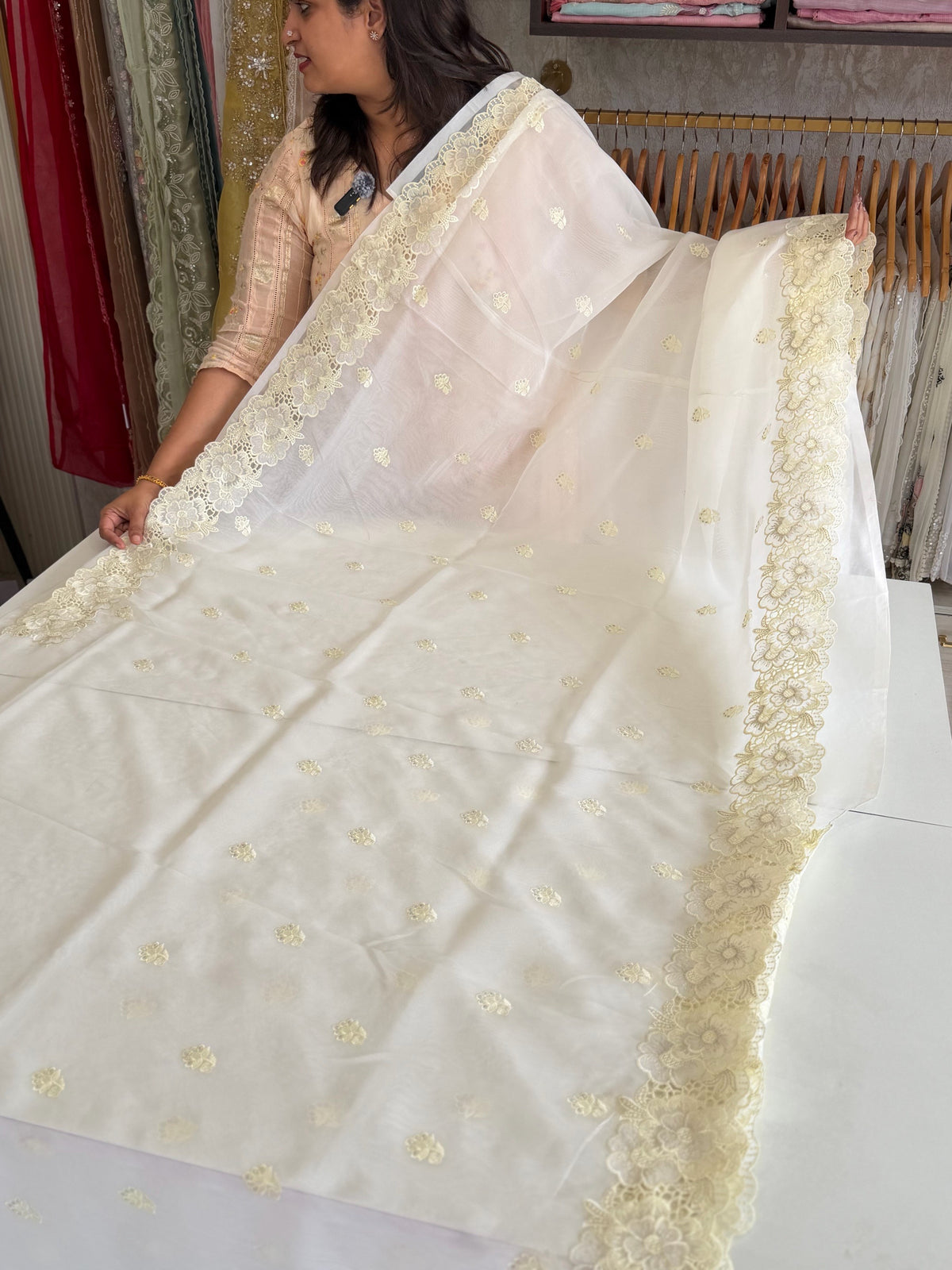 Organza Saree/ 6296