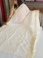 Organza Saree/ 6296
