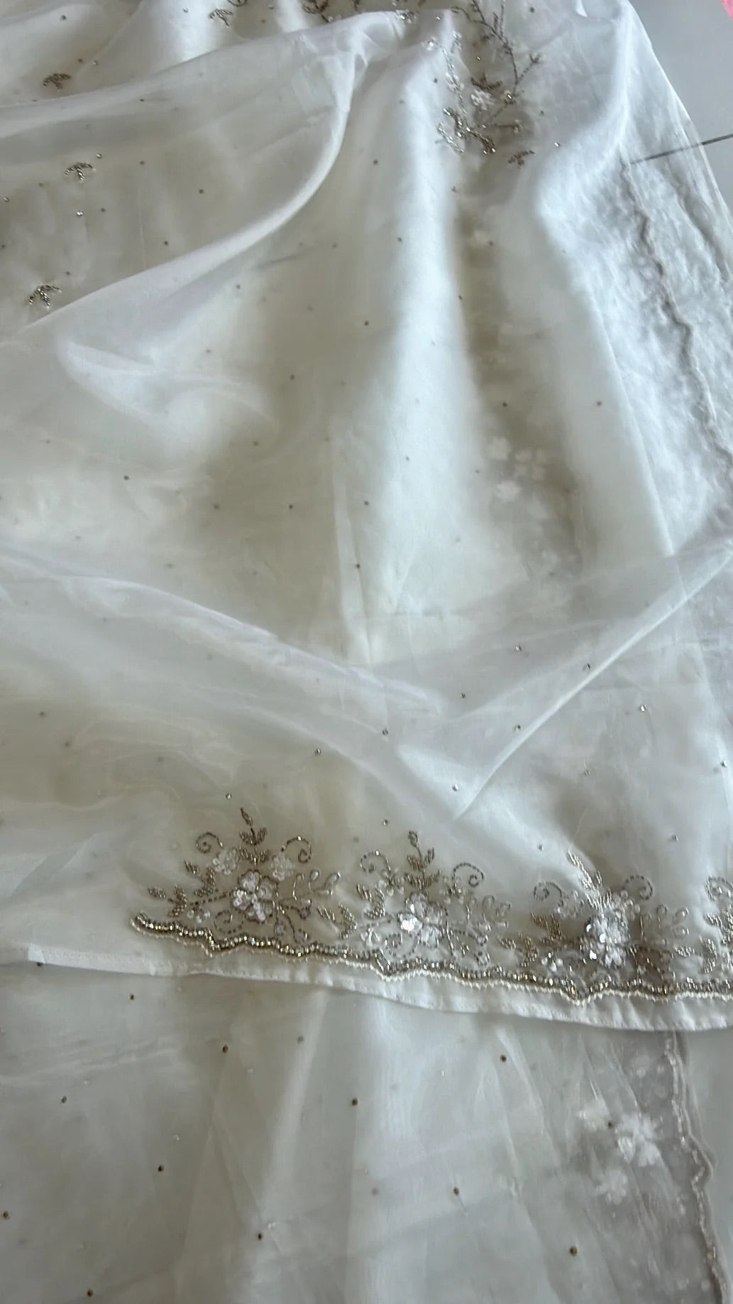Satin organza saree/ AP59