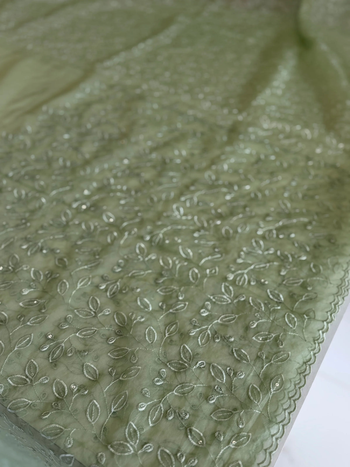 Soft organza Saree/ CW782