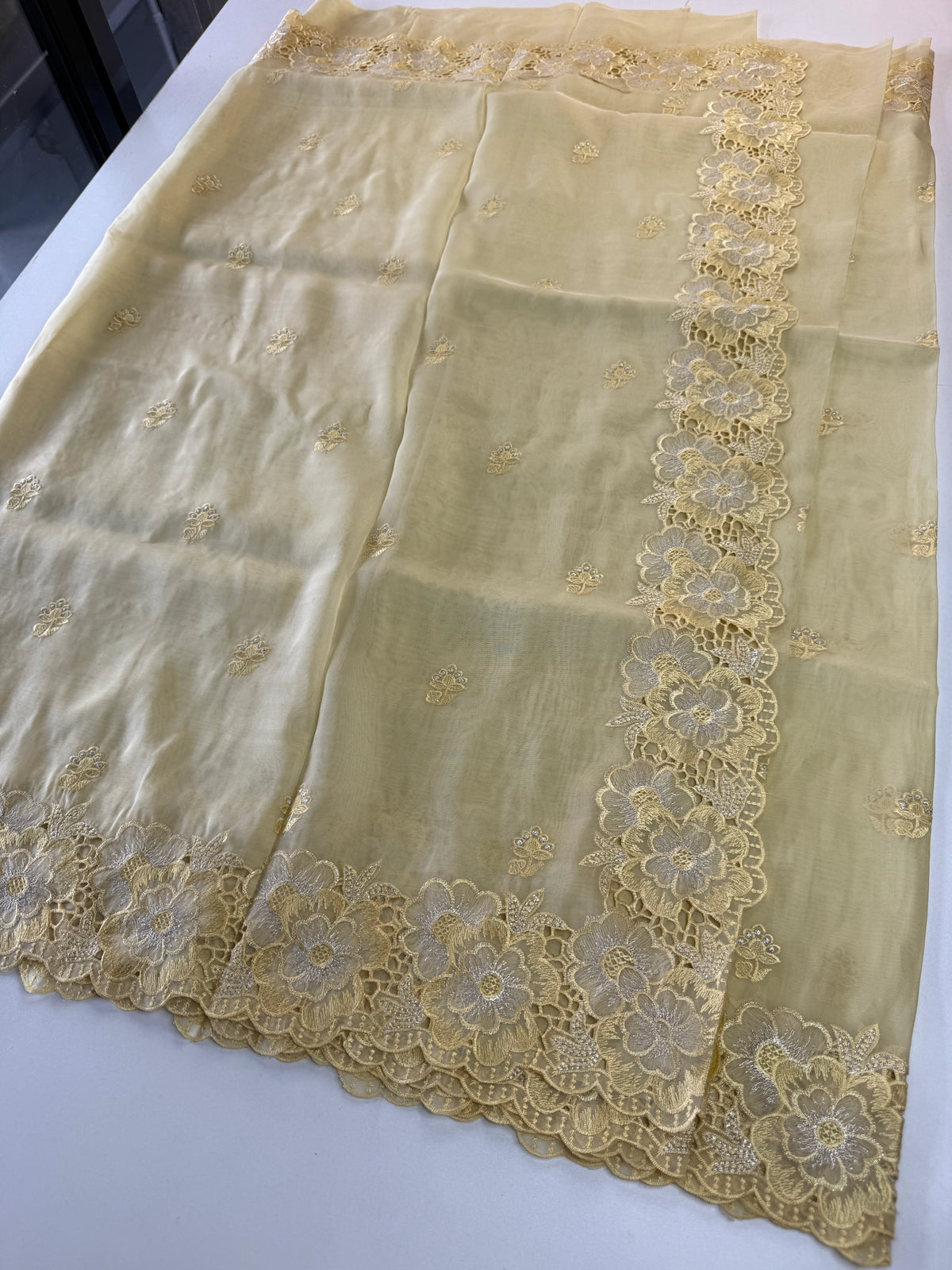 Organza Saree/ 6296