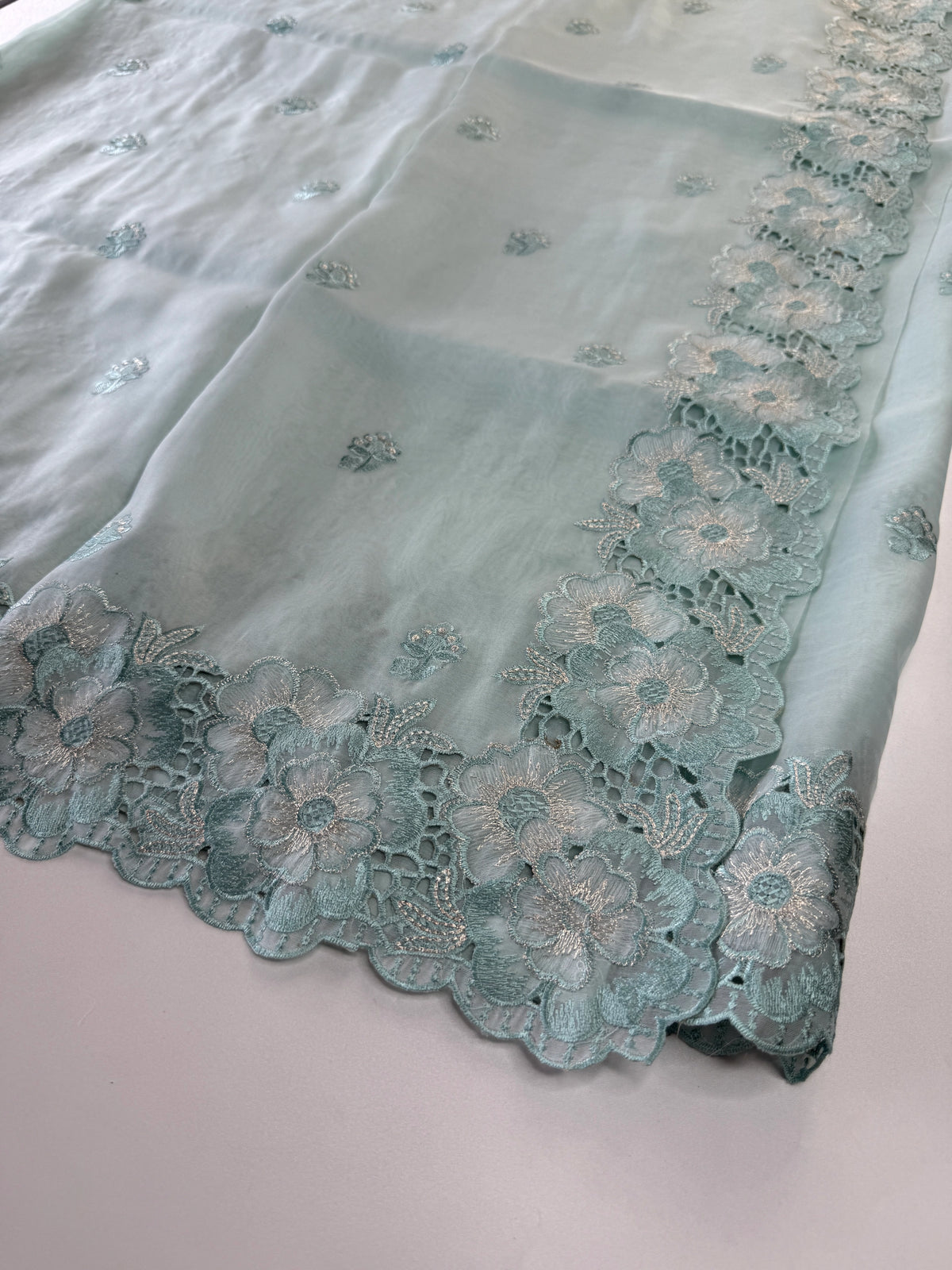 Organza Saree/ 6296