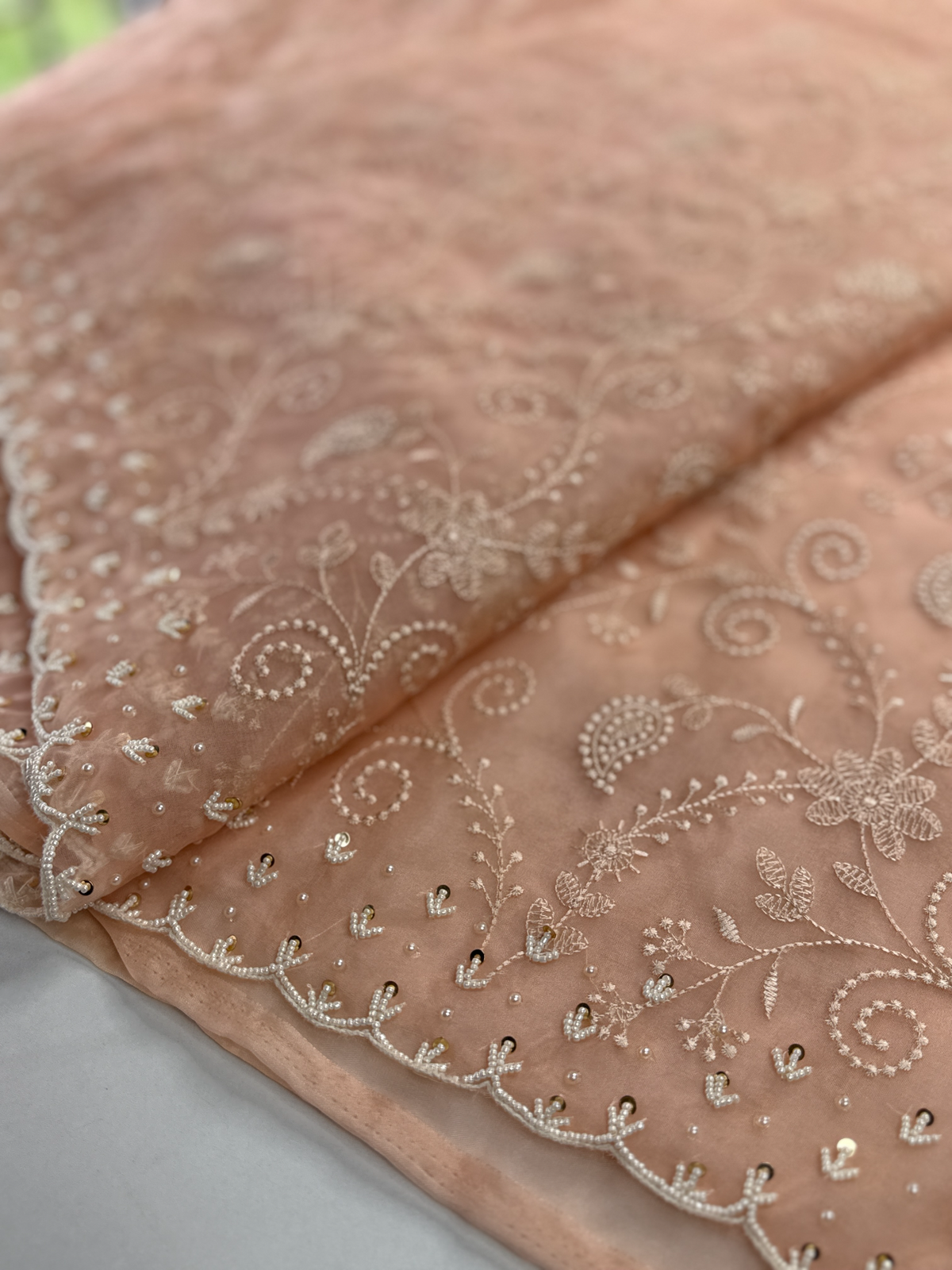 Soft Organza Saree / 221A