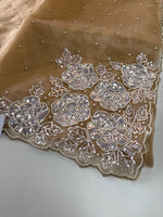 Glass Organza Saree/ AP1010
