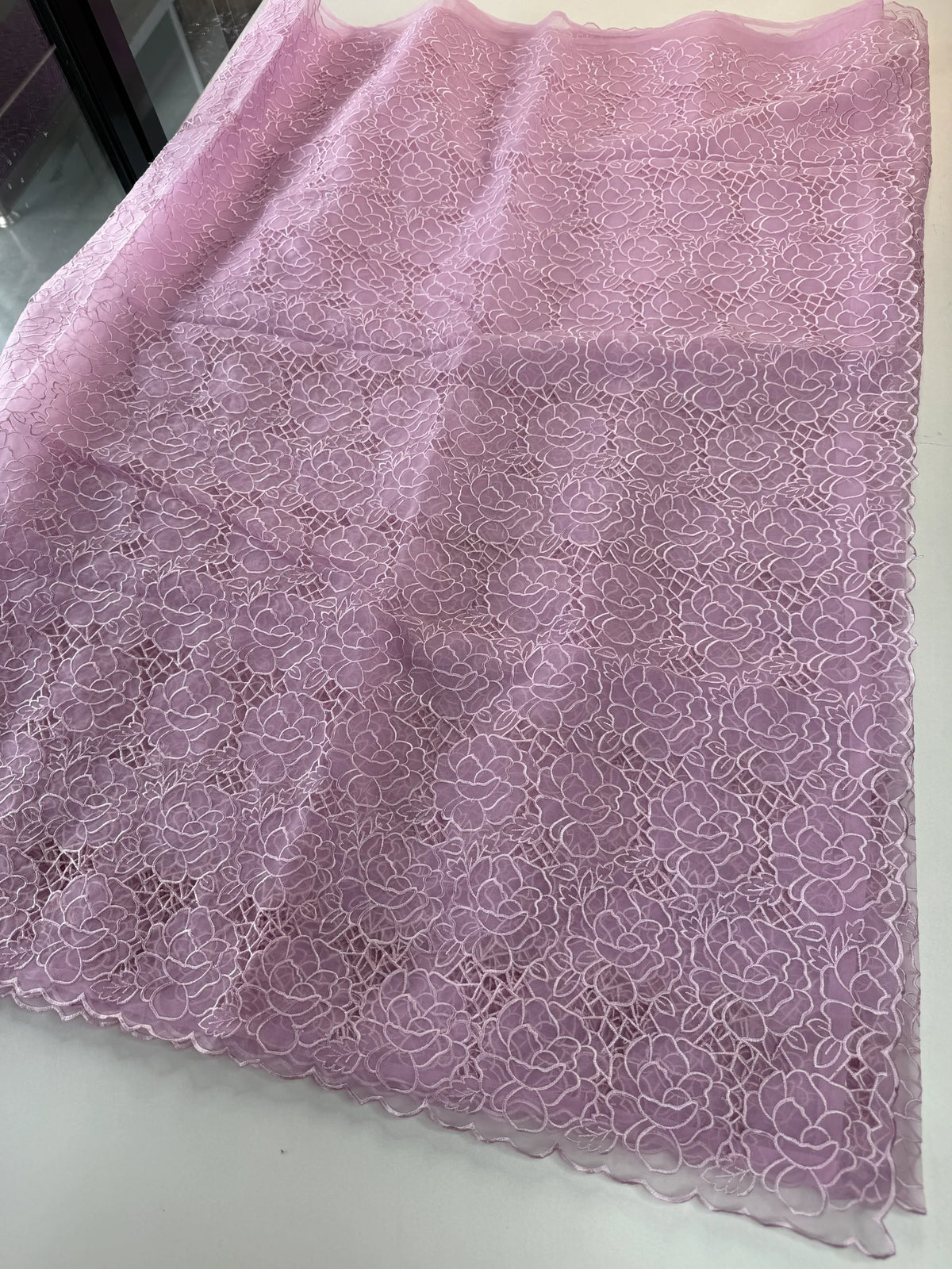 Soft Organza Saree/ AM103