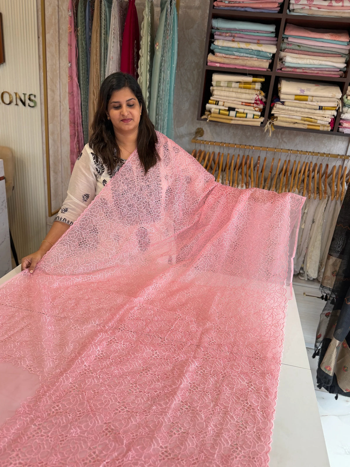 Soft Organza Saree/ AM103