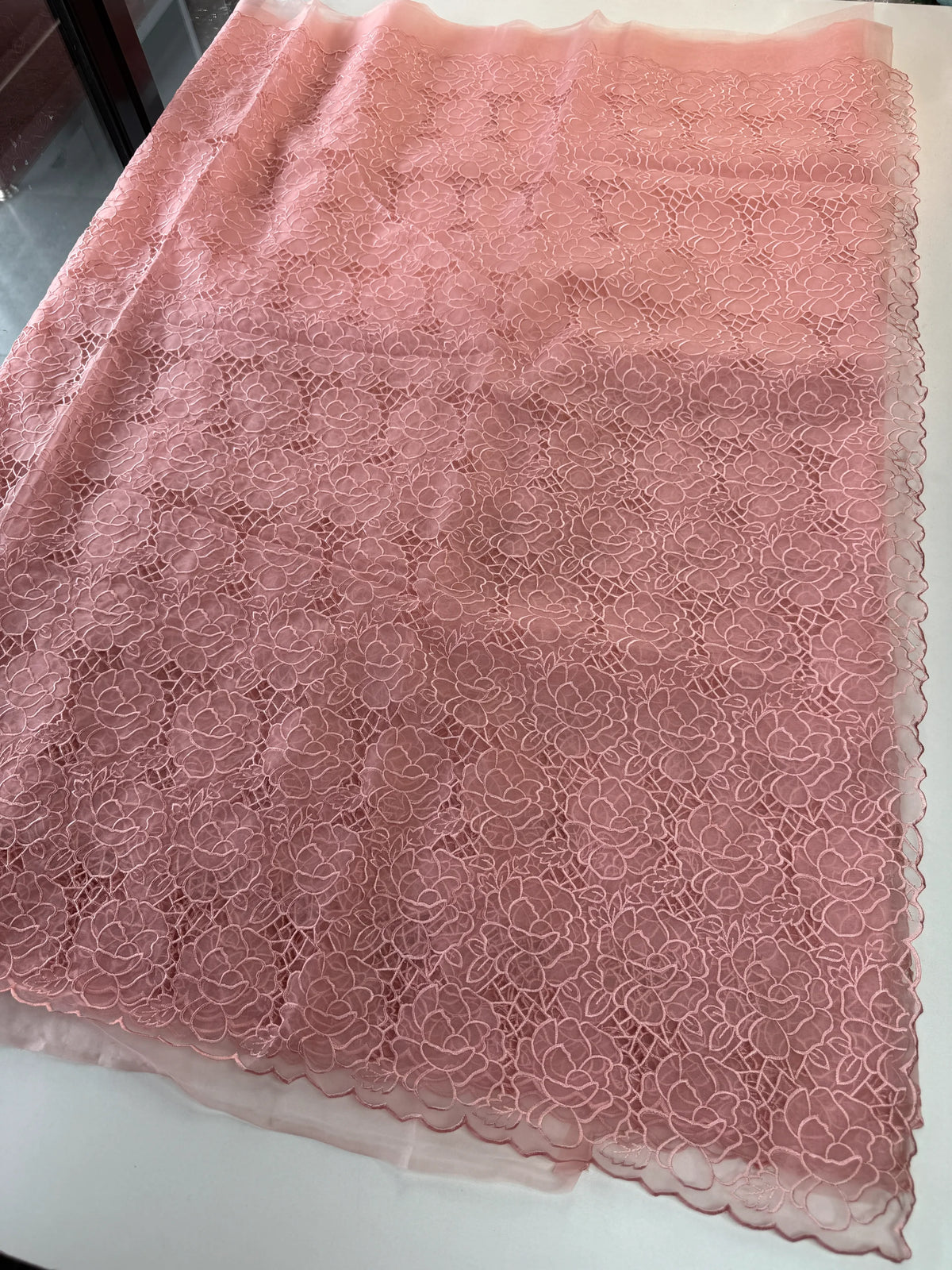 Soft Organza Saree/ AM103