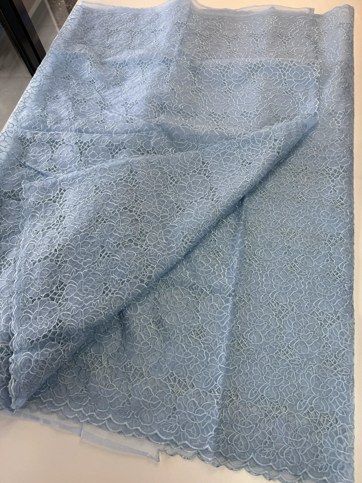 Soft Organza Saree/ AM103