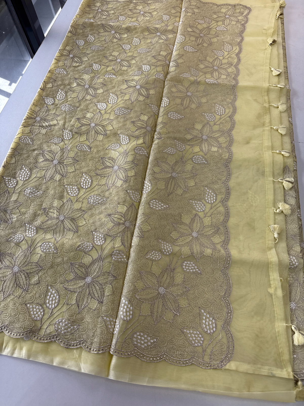 Organza Saree/ Ss845