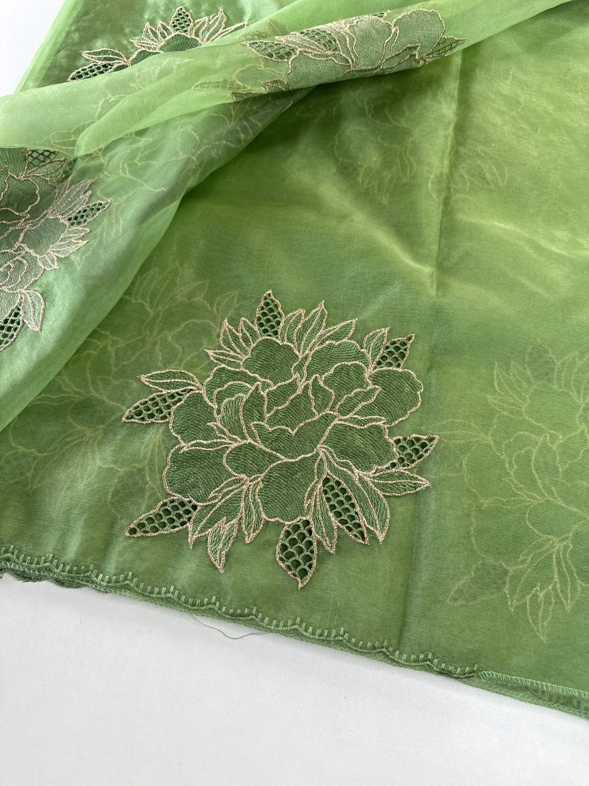 Soft organza saree/ CW766