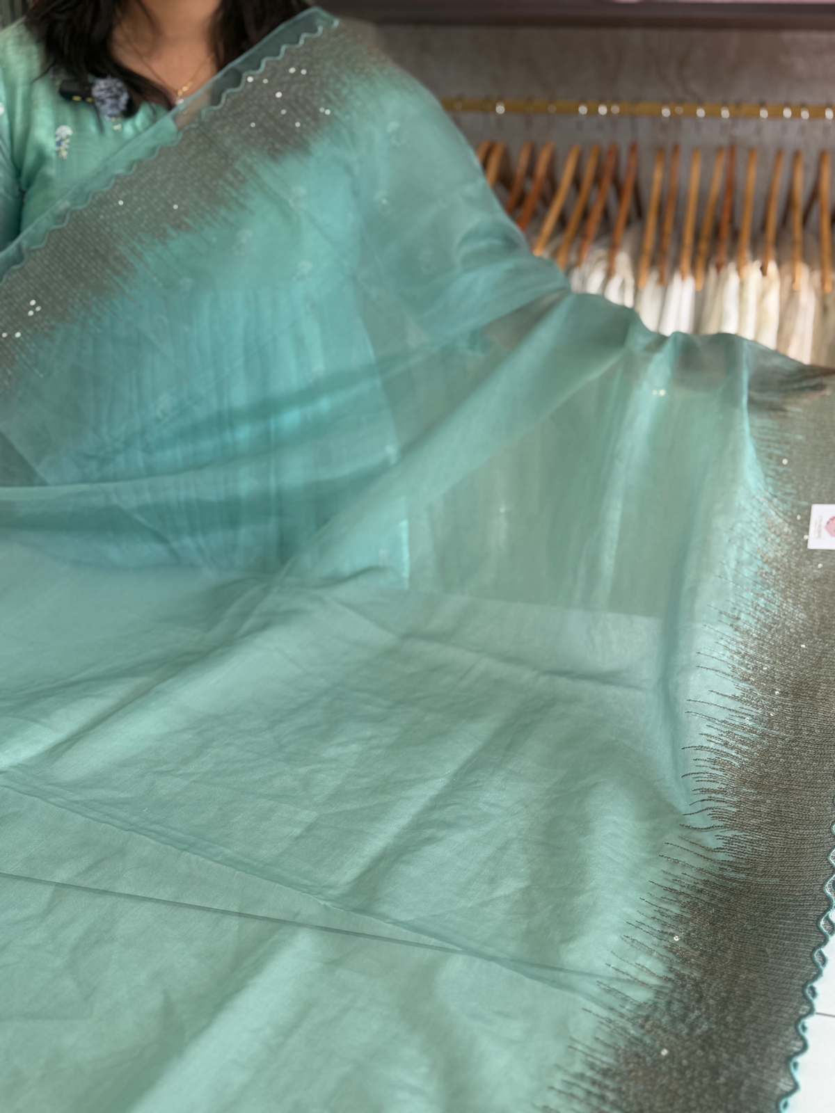 Soft organza saree/ CW296