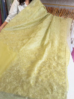 Koran organza saree/ CW858