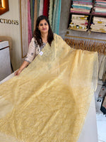 Soft Organza Saree/ AM103