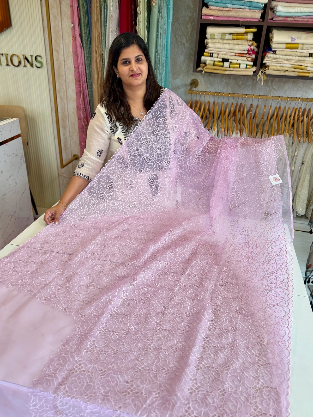 Soft Organza Saree/ AM103