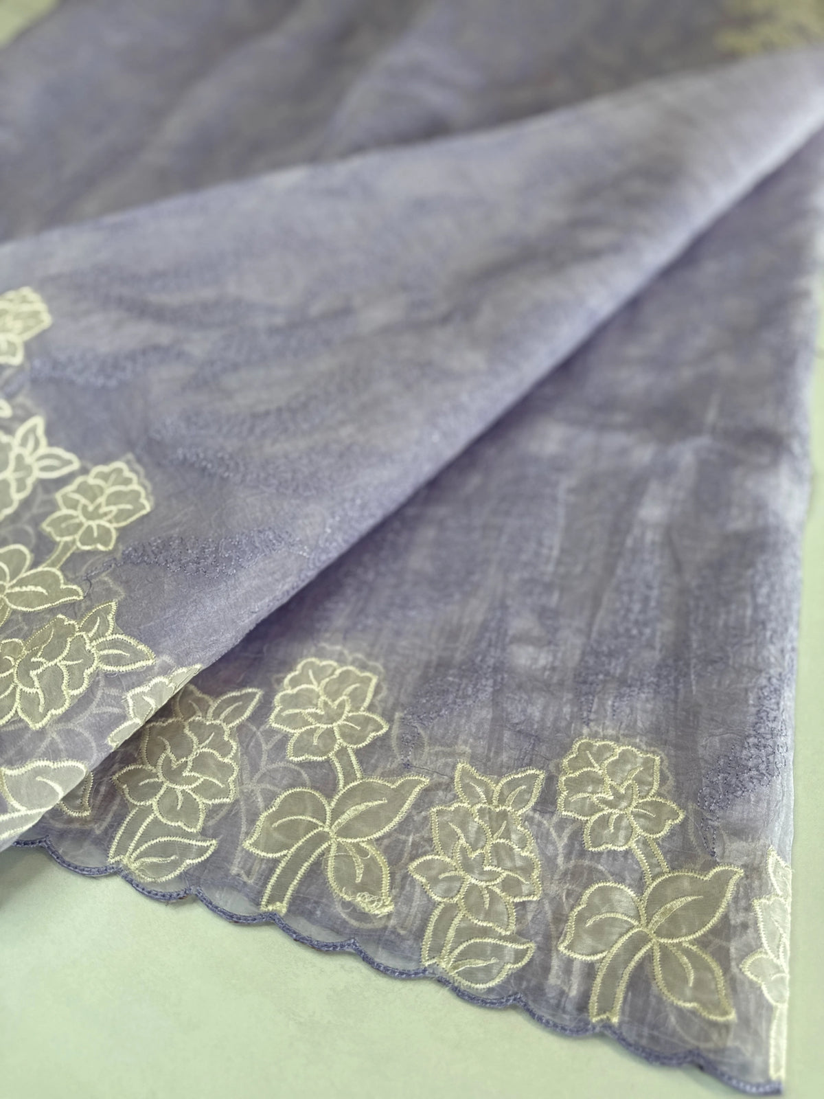 Crushed Organza saree/ BC602