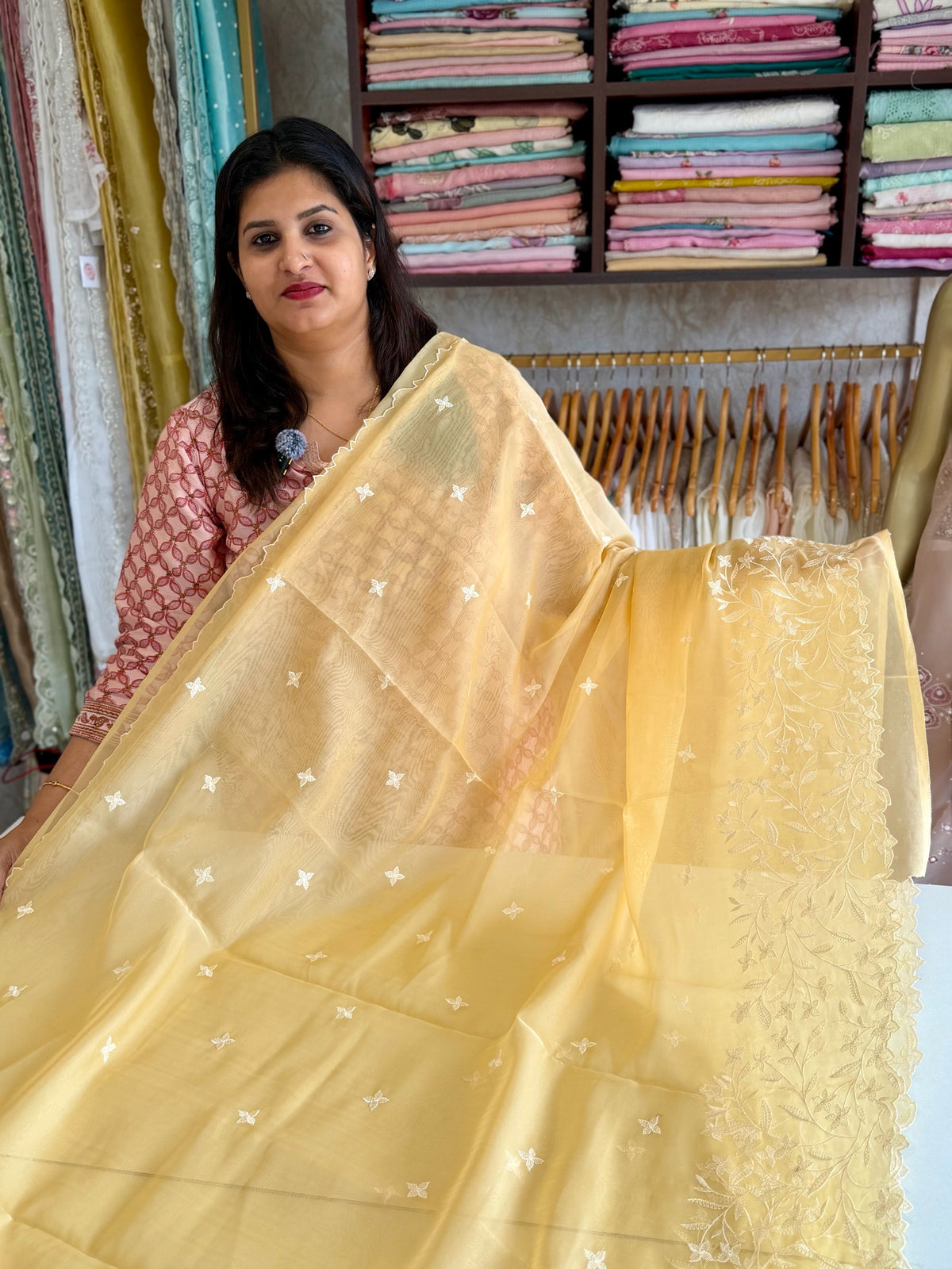 Viscous organza saree/ BL137