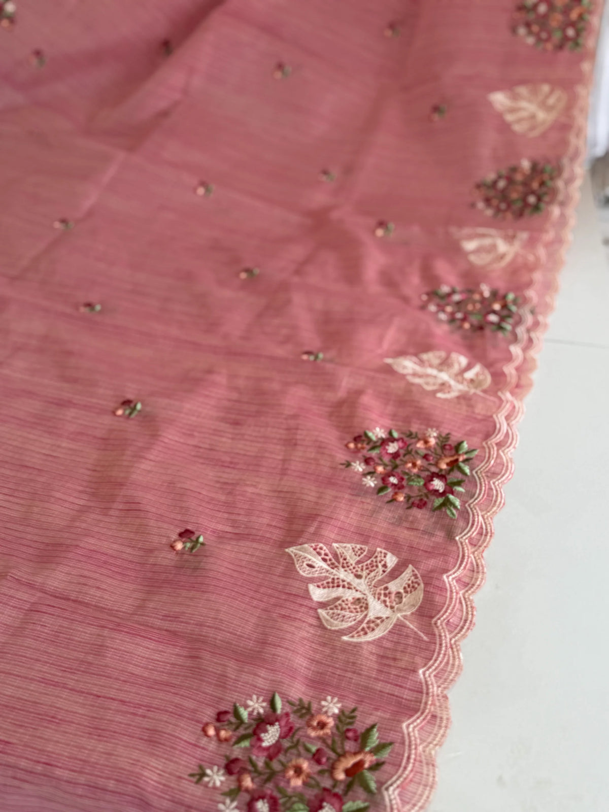 Silky Kotta / KK36