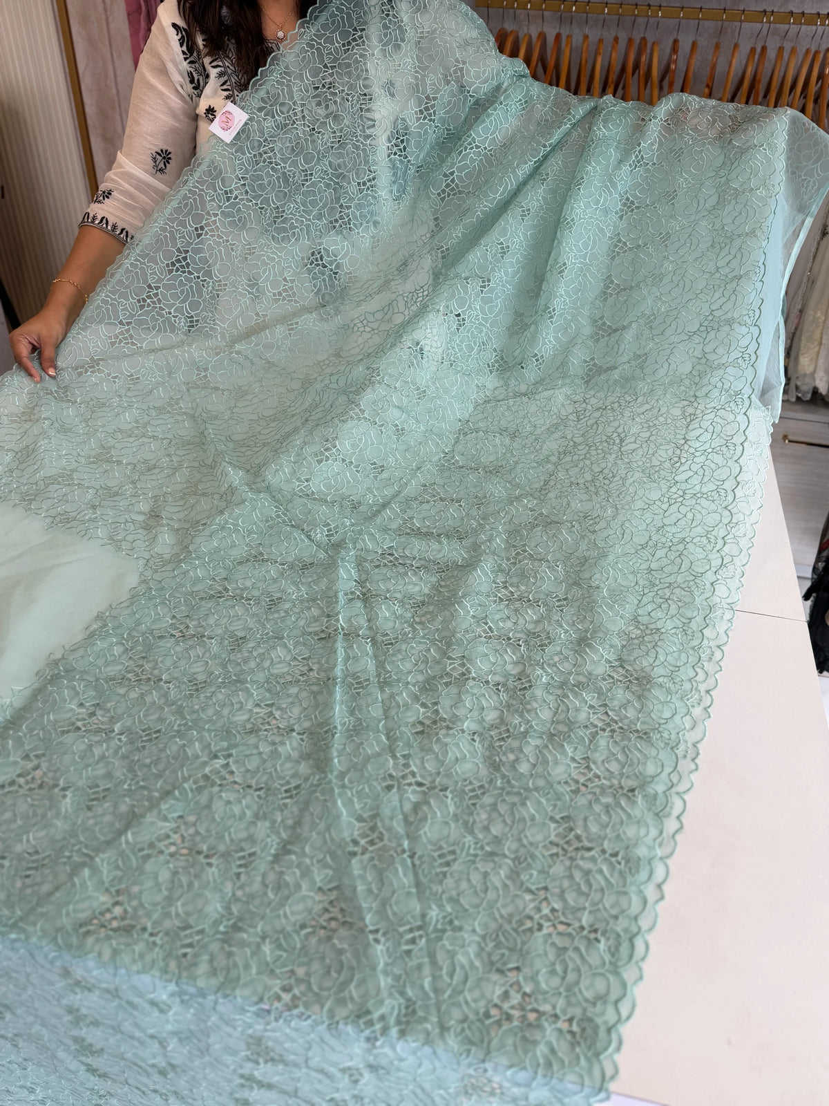 Soft Organza Saree/ AM103