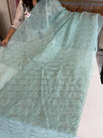 Soft Organza Saree/ AM103
