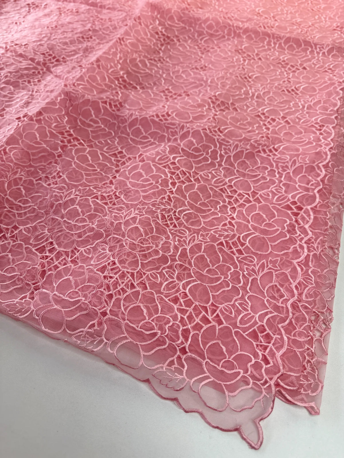 Soft Organza Saree/ AM103