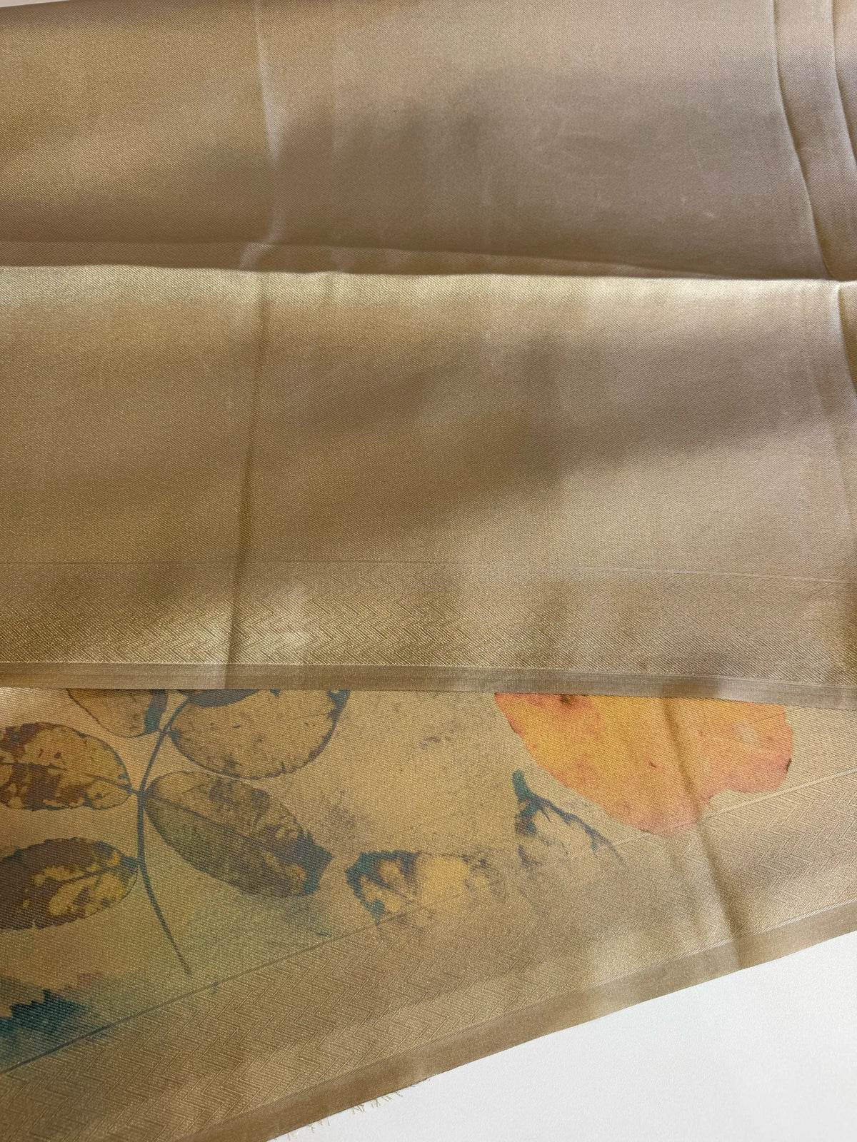 Tissue saree/ SB101